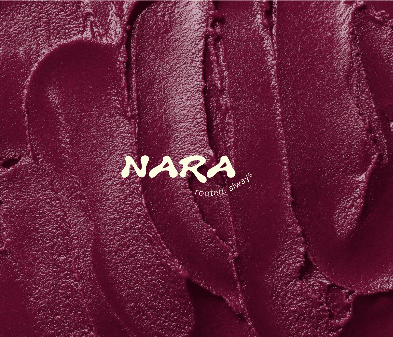 NARA visual 3