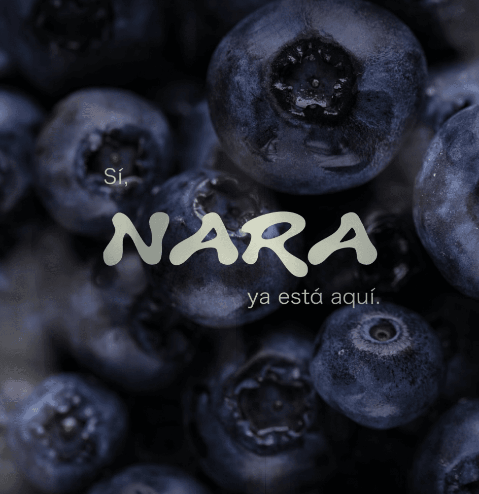 NARA visual 4